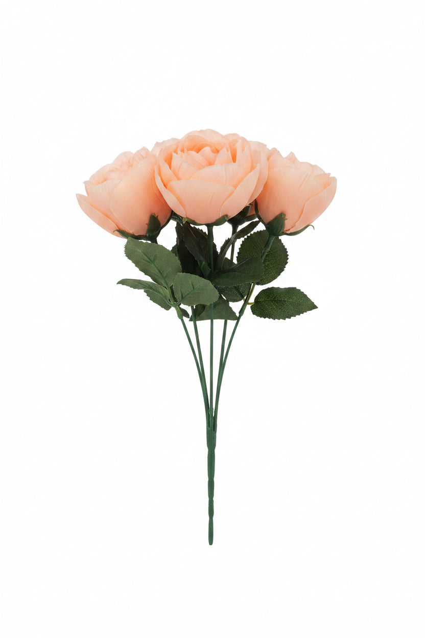 rosier colossas