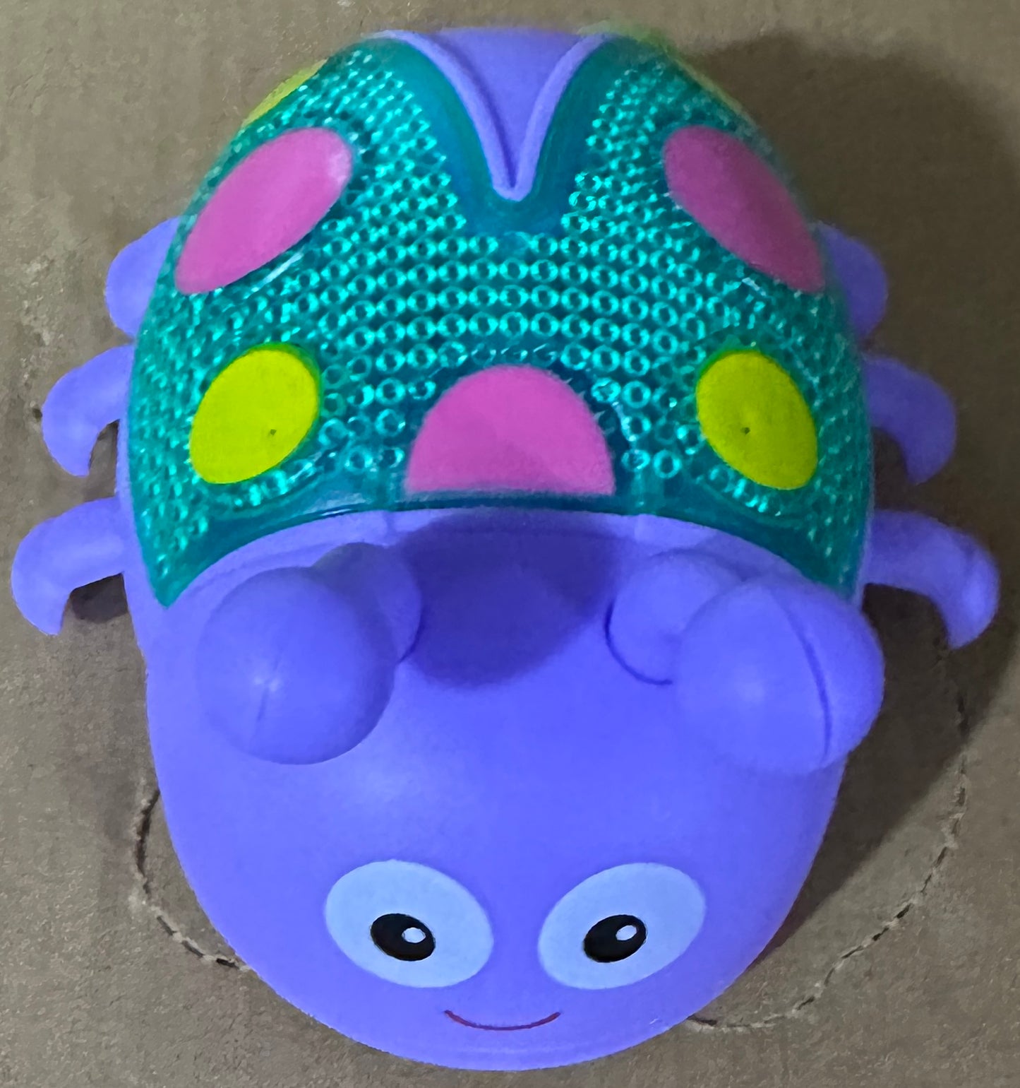 Coccinelle à ficelle