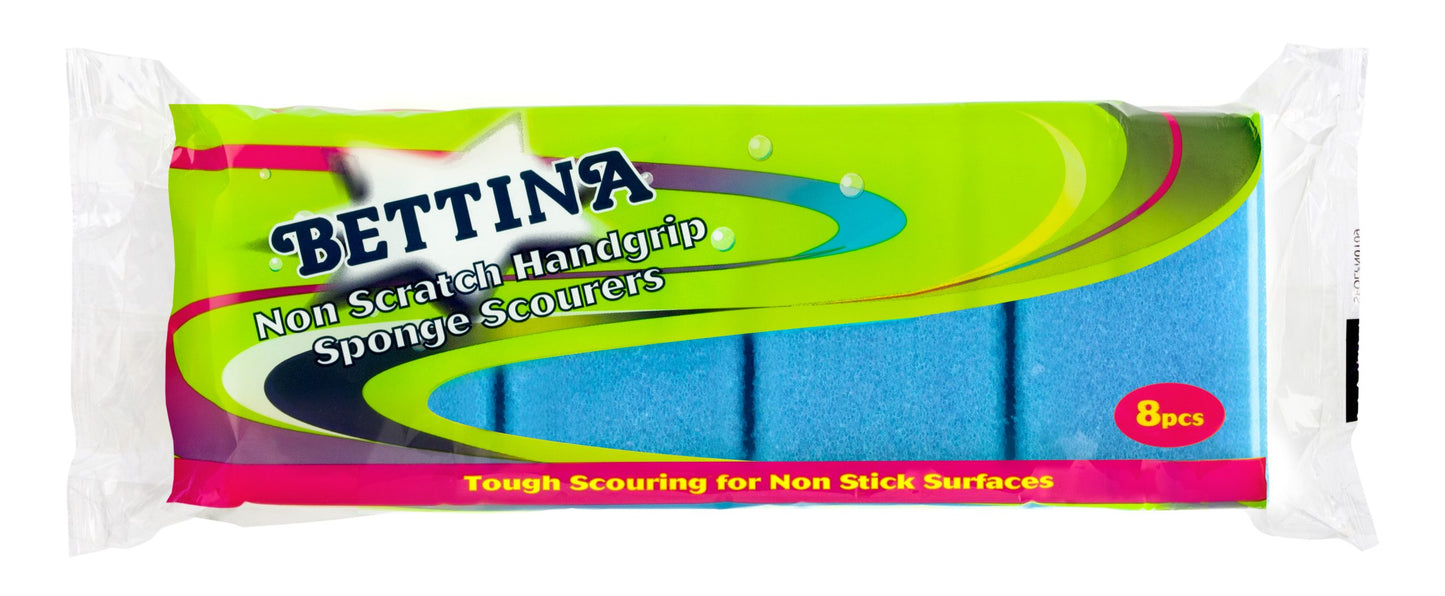 Bettina 10pc Shaped Sponge Scourer