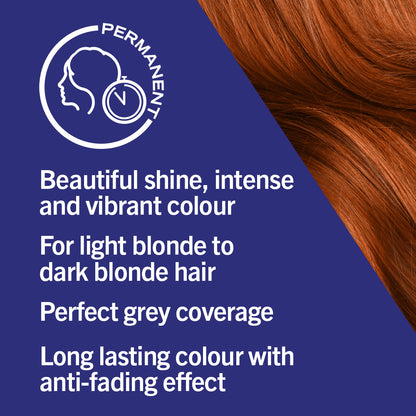 Schwarzkopf LIVE CARAMEL COPPER PERMANENT COLOUR 077