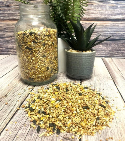 Wild Bird Seed Mix 1Kg