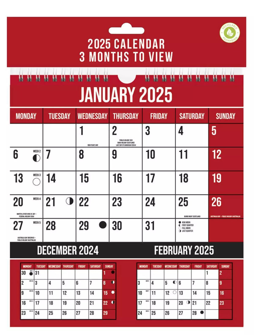 2025 CALENDAR 3 MONTHS TO VIEW