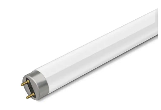 Tube fluorescent Philips T8 de 180 cm, 70 W, 840 (blanc froid)