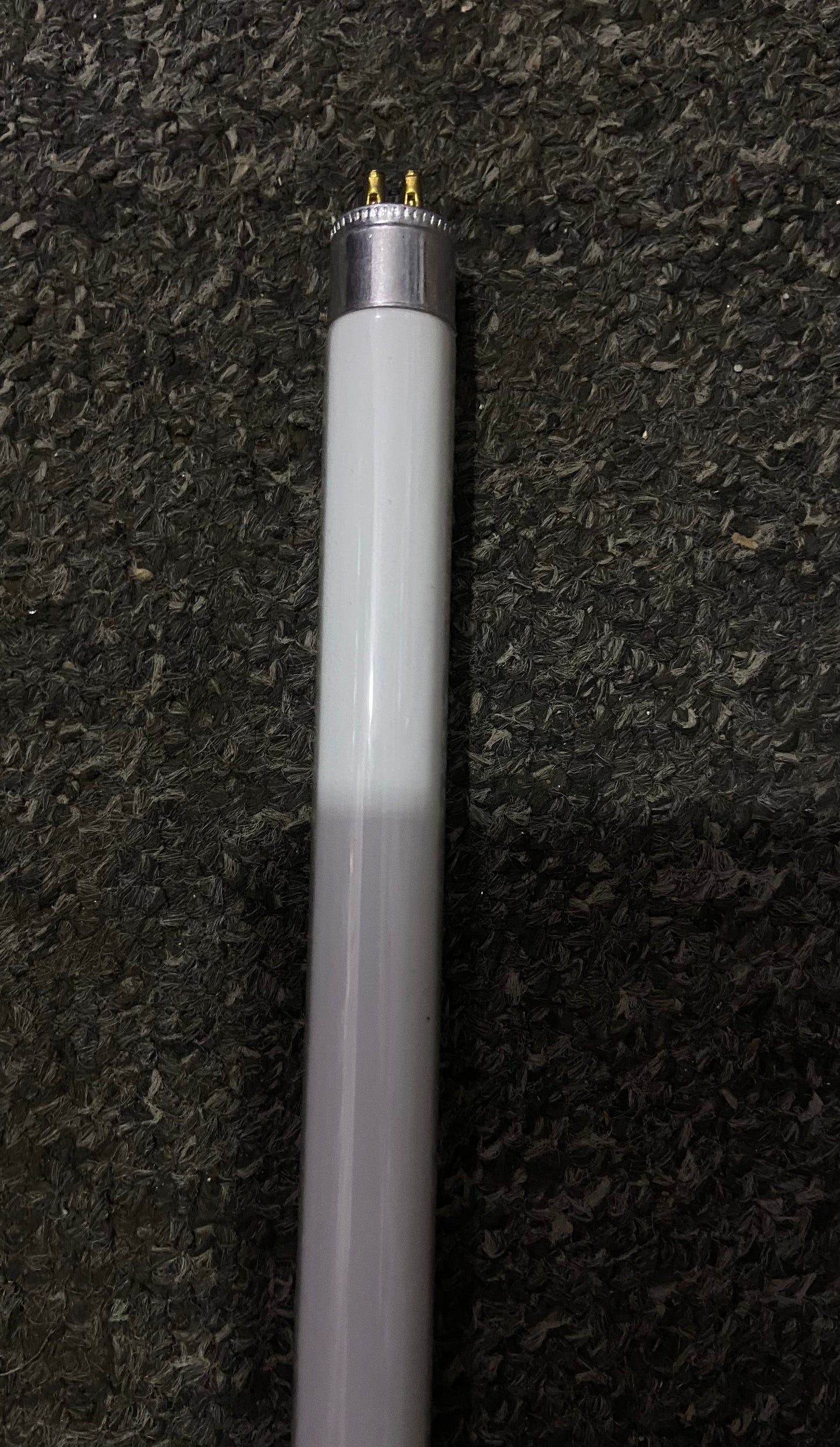 EVEREADY T5 840 CAP G5 54w 4 feet