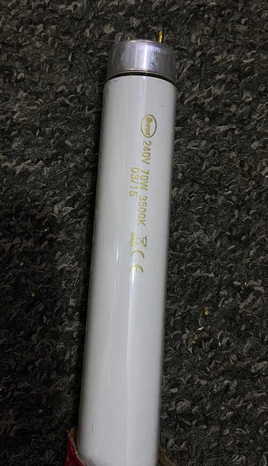 TUBE NÉON T8 6000H 70W 6 PIEDS