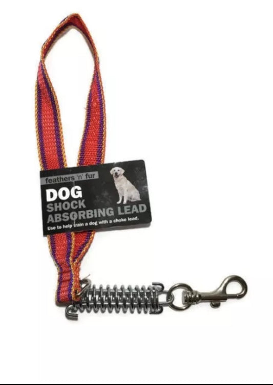 Laisse Amortissante pour Chien Patte de Plume et Poil de Chiot