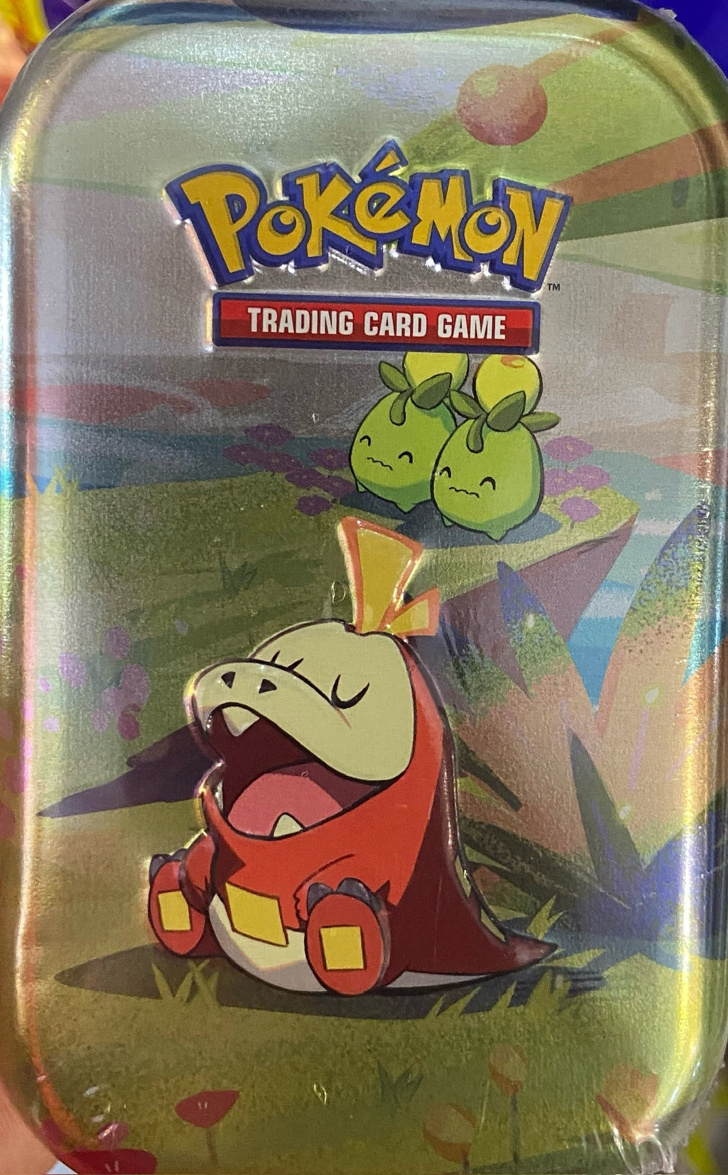 JEU DE CARTES À COLLECTIONNER POKÉMON