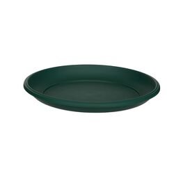 24CM MILANO SAUCER F GREEN