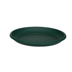 Soucoupe Milano 34 cm - Verte