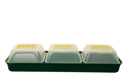 Windowsill Propagator Set Eco-friendly