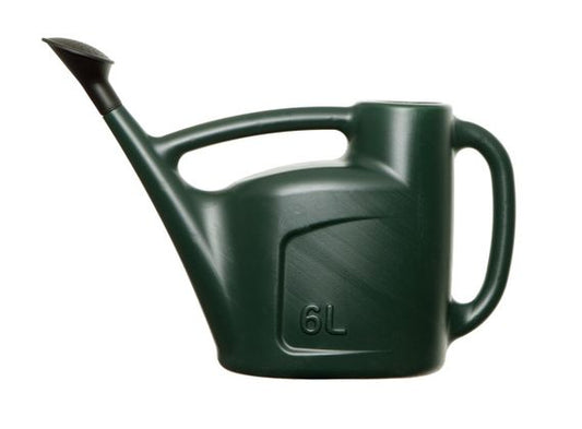 6L Watering Can - Green