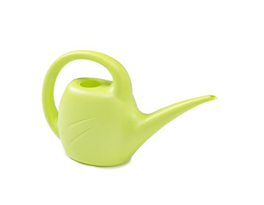 2.5L Watering Can - Lime