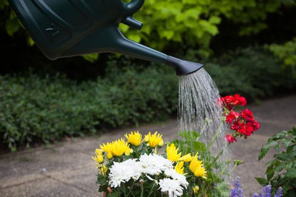 5L Watering Can - Green