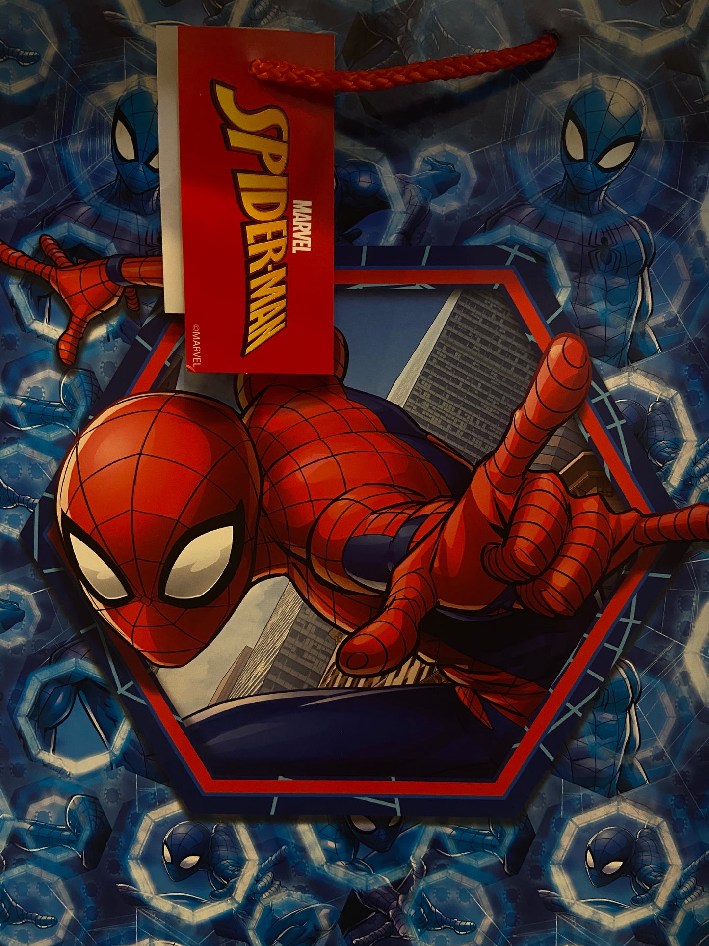 SPIDER-MAN LARGE BAG