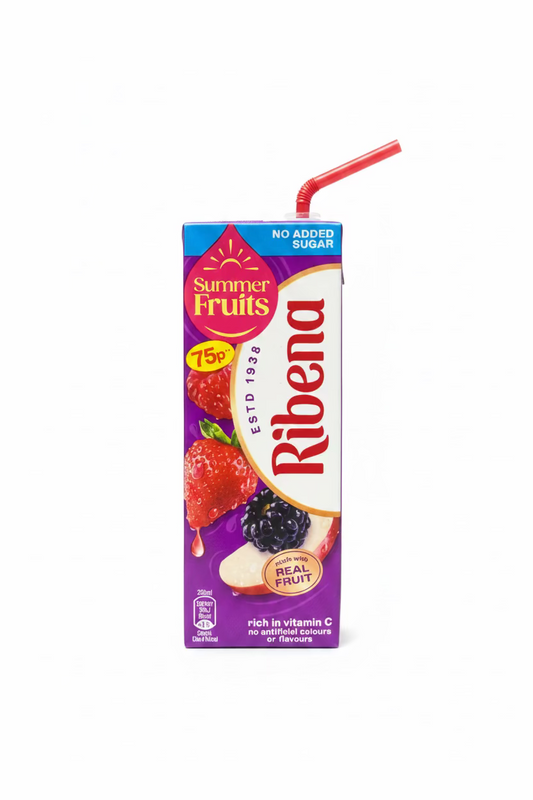 RIBENA SUMMER FRUITS JUICE 250ml