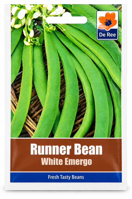 DE REE RUNNER BEAN WHITE EMERGO