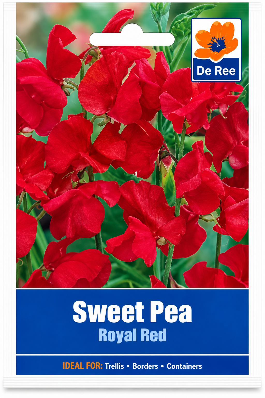 DE REE SWEET PEA ROYAL RED