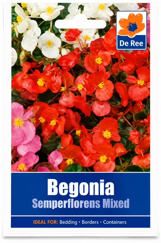 DE REE BEGONIA SEMPERFLORENS MIXED