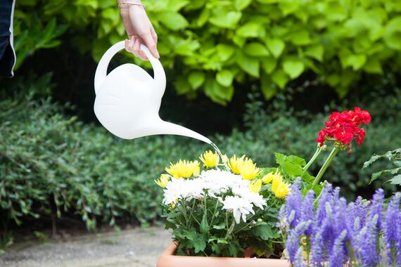 2.5L Indoor Watering Can - White