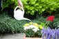 2.5L Indoor Watering Can - White