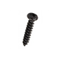 1680 RW6X100 Round Head Wood Screws Black Plated | Shop 25/PK