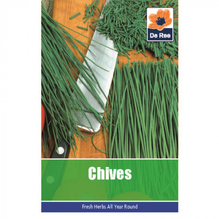 Graines de ciboulette De Ree