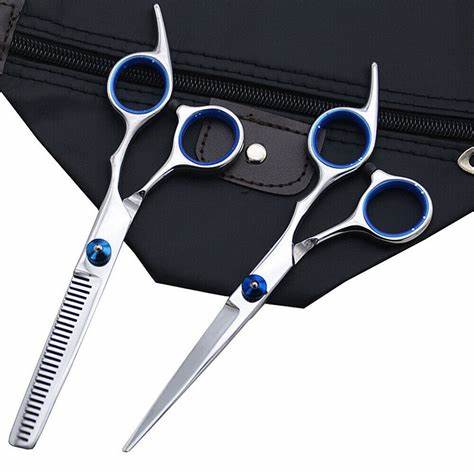 Professional 2pc Hairdresser's Scissors Set for Precise Hair Styling