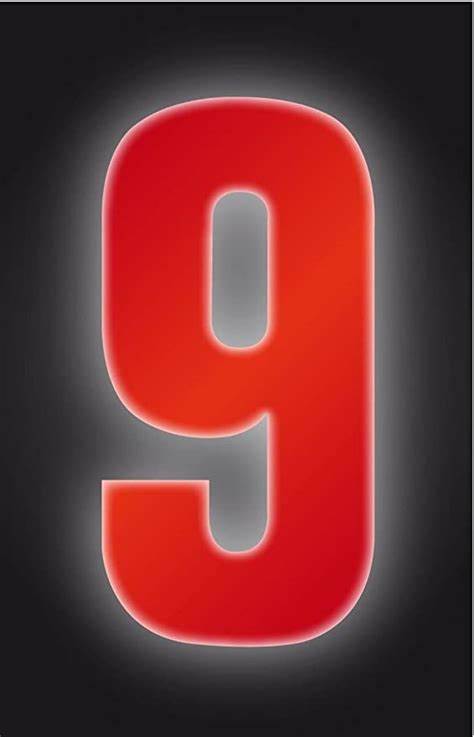 Wheelie Bin Numbers, Reflective Red Self Adhesive Vinyl No. 9 (150mm)