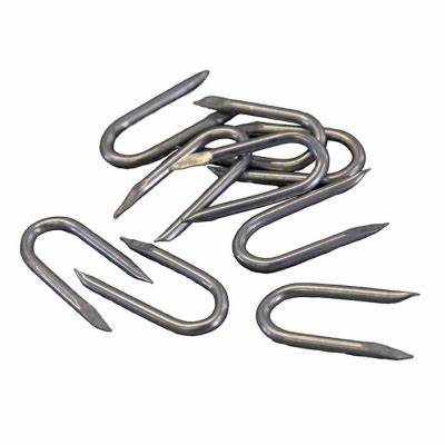 Netting Staples, Galvanised 32mm (1.1/4") 75g