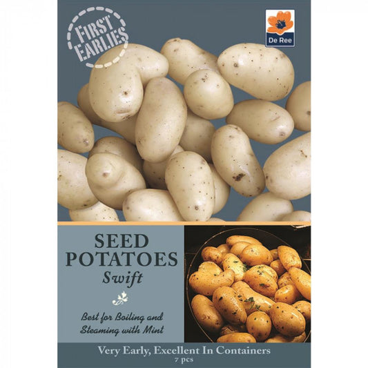 Pommes de terre de semence précoces De Ree Swift