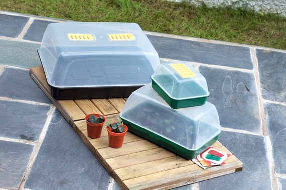 Windowsill Propagator Set Eco-friendly