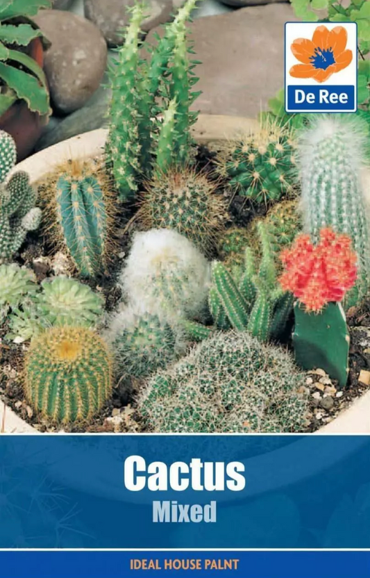 Mélange de graines de cactus