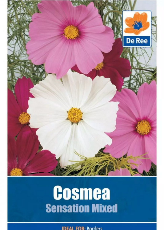 De Ree COSMEA Sensation Mélange de graines de fleurs