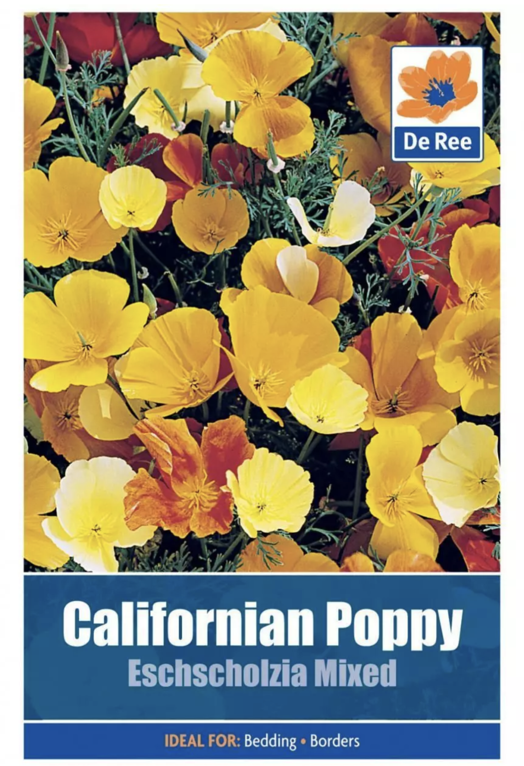 De Ree Graines mélangées de pavot de Californie Eschscholzia
