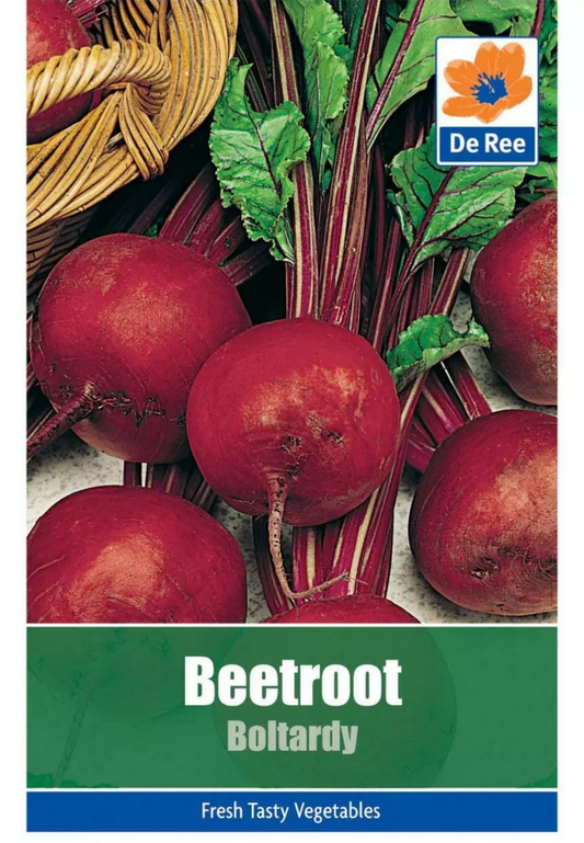 Graines de betterave Boltardy De Ree