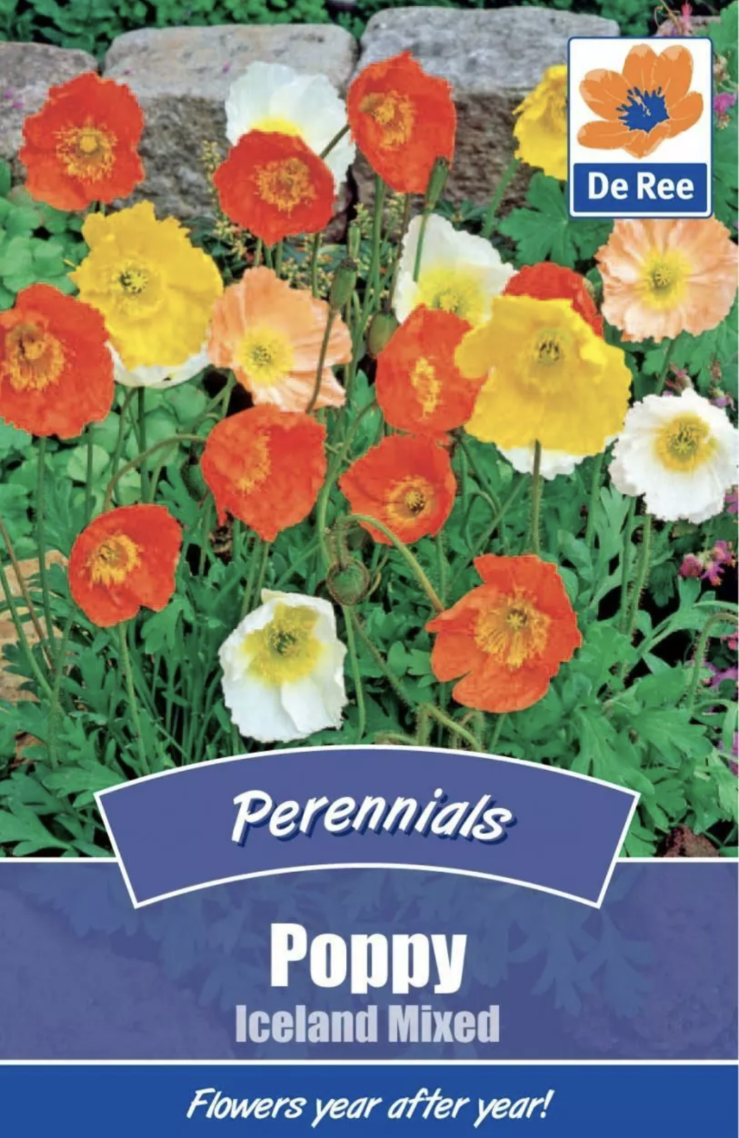 POPPY Islande Mixte
