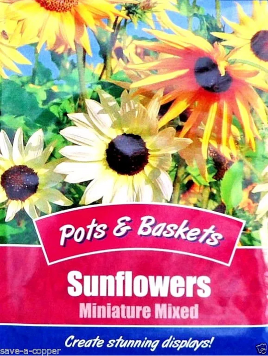 De Ree TOURNESOLS – Nains mélangés –