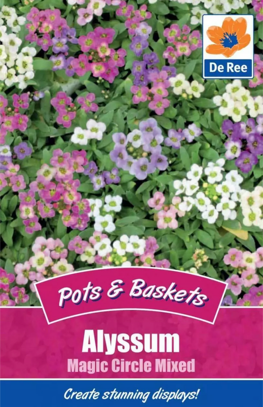 De Ree ALYSSUM Magic Circle Mélangé