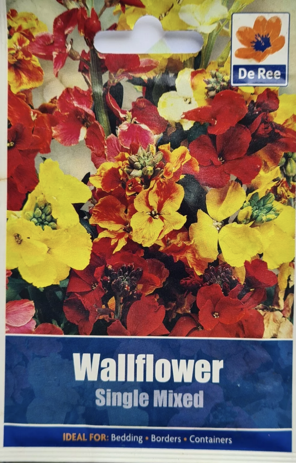 Wallflower Single Mixed