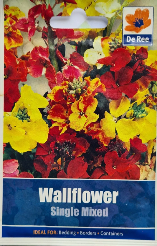 Wallflower Single Mixed