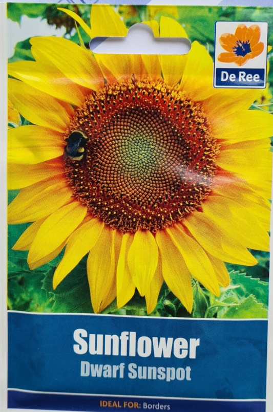 Graines de tournesol nain Sunspot De Ree