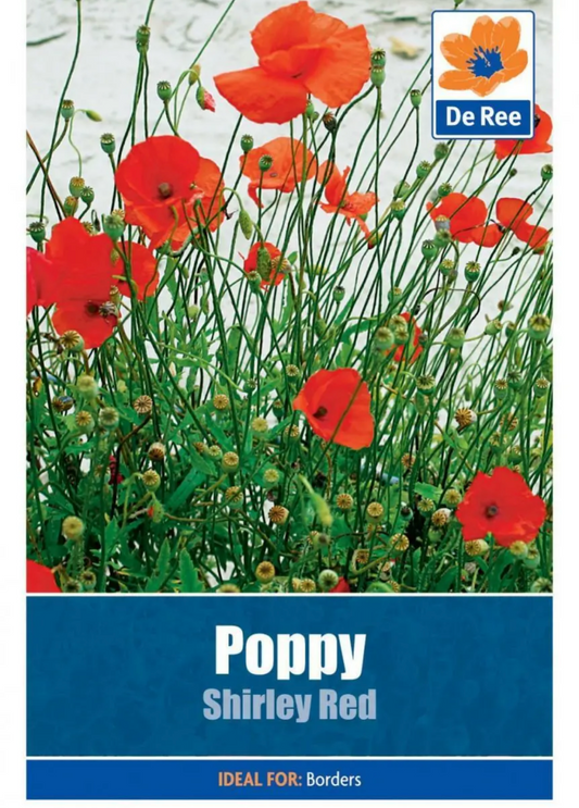 Graines de pavot Shirley rouges De Ree