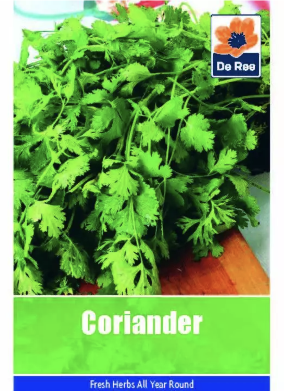 Graines de coriandre De Ree