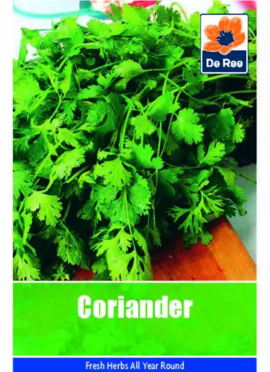 Graines de coriandre De Ree