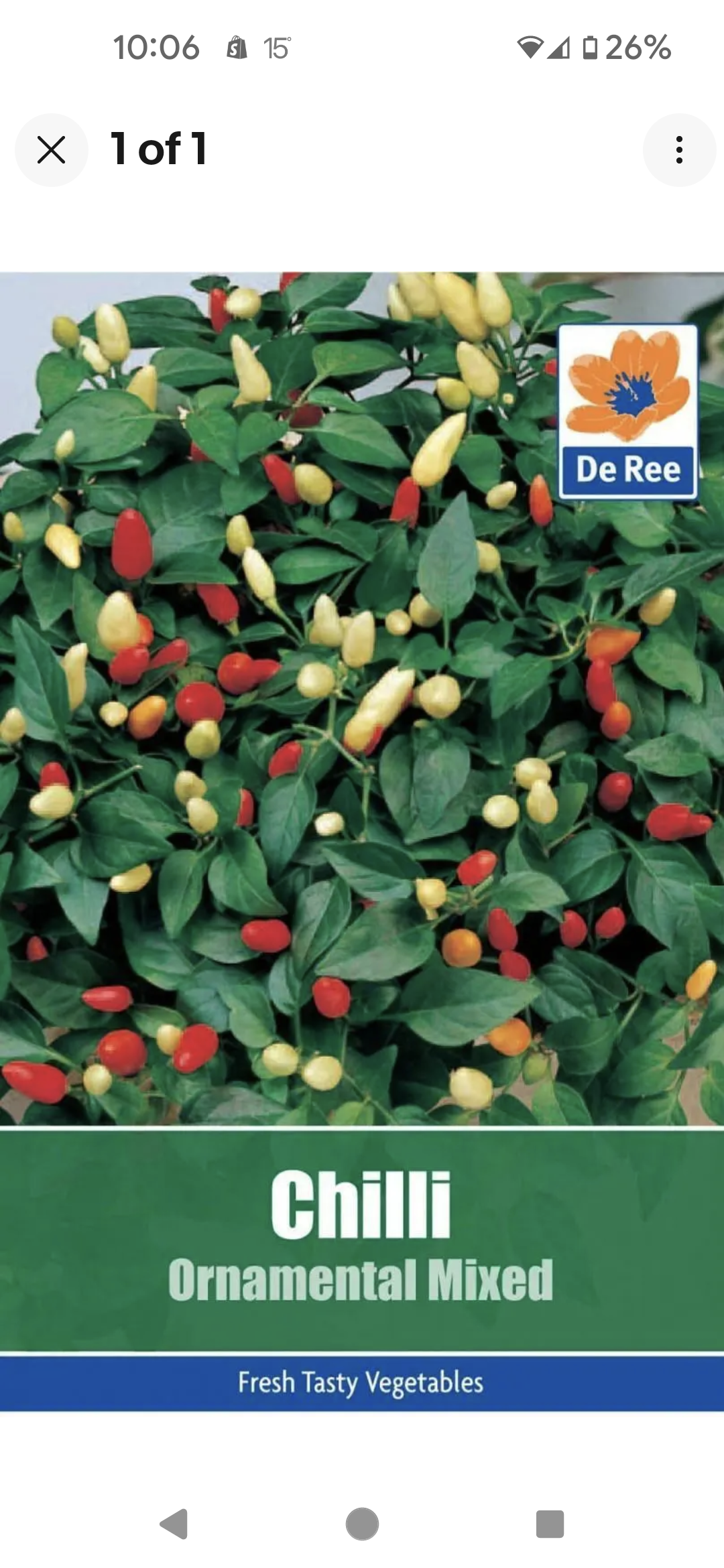 De Ree Chilli Ornamental Mix Seeds
