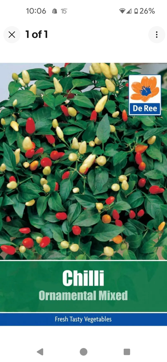 Graines De Ree Piment d'ornement - Mélange