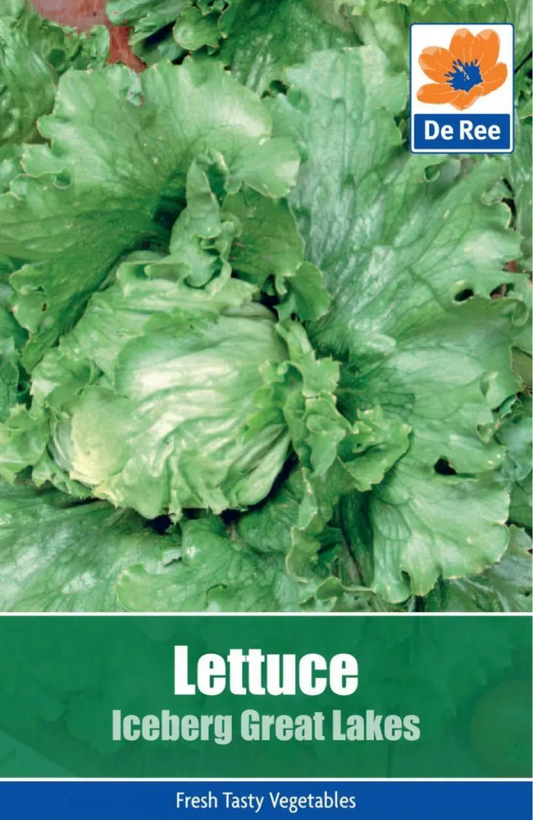Graines de laitue iceberg De Ree Great Lakes