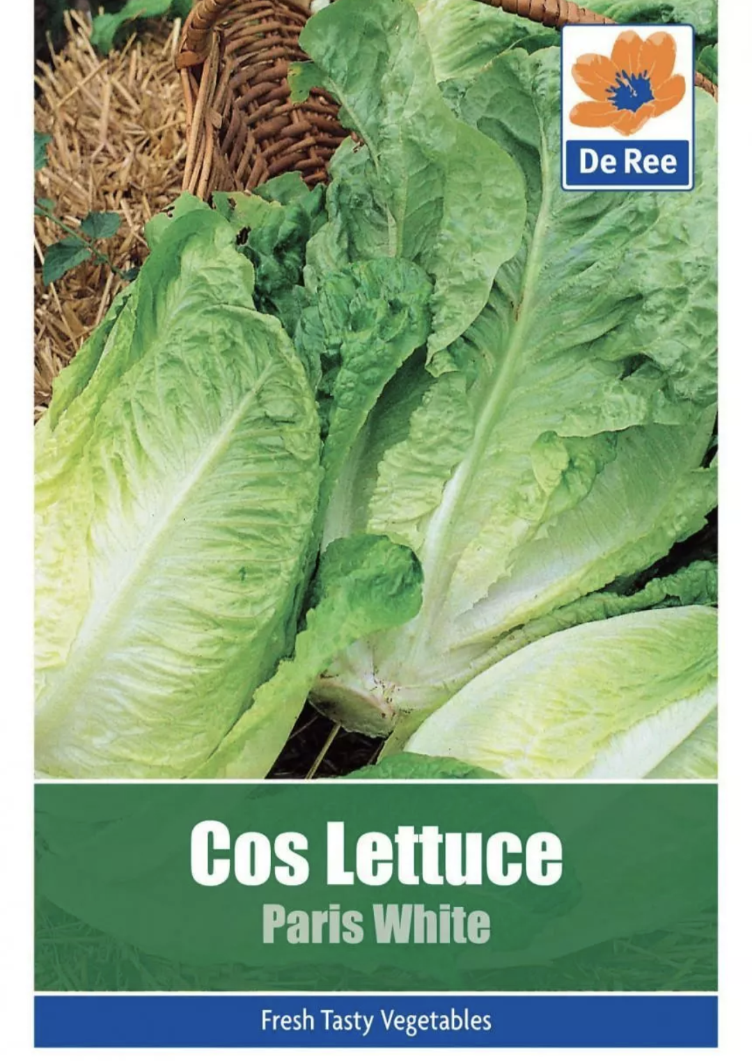De Ree Cos Lettuce Paris White