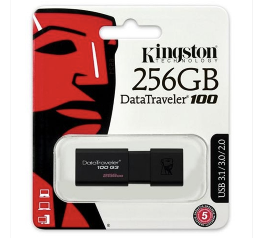 Clé USB Kingston DataTraveler 256 Go