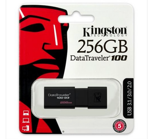 Kingston DataTraveler 256GB USB Flash Drive
